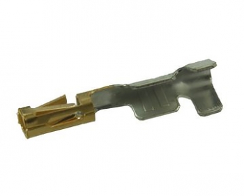 CC79l-2024-01-l